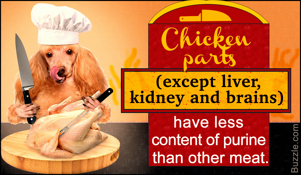 Low Purine Foods for Dogs Every Pet Parent Should Know