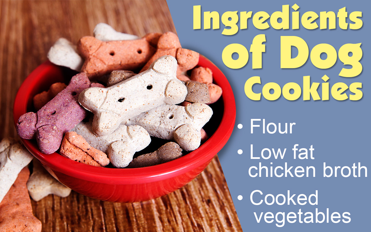 Feed Low Protein Diet for Your Dog With These Tasty Food Recipes - DogAppy