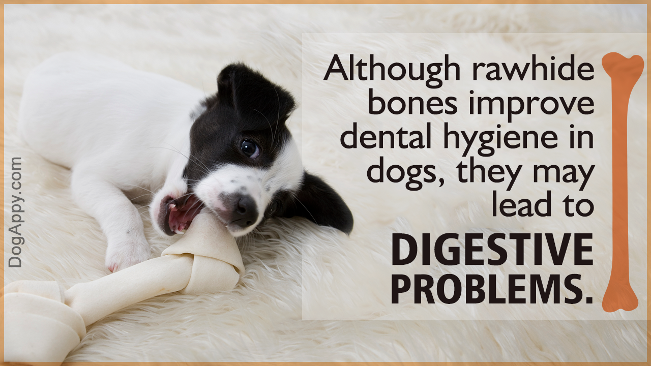 types of raw hides for dogs