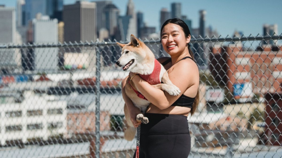 Does Neutering A Dog Change Personality