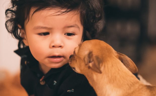 Puppy and young child